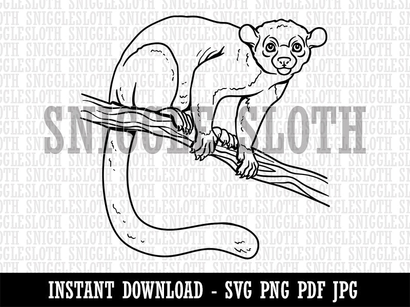 Kinkajou Honey Bear Clipart Digital Download SVG PNG JPG PDF Cut Files
