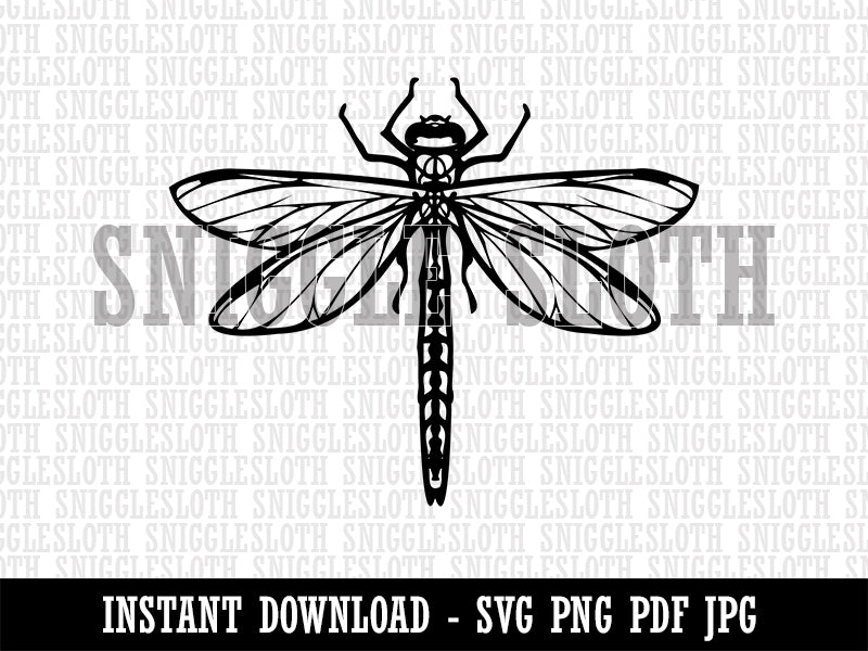 Detailed Dragonfly Insect Darter Darner Clipart Digital Download SVG PNG JPG PDF Cut Files