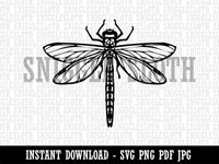 Detailed Dragonfly Insect Darter Darner Clipart Digital Download SVG PNG JPG PDF Cut Files