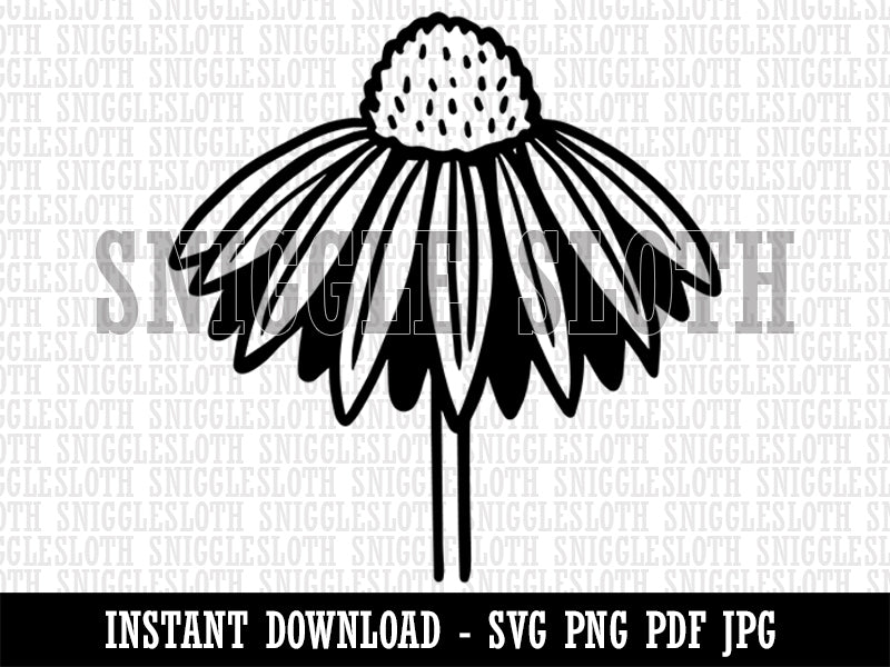 Coneflower Echinacea Clipart Digital Download SVG PNG JPG PDF Cut Files