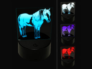 Chincoteague Island Pony 3D Illusion LED Night Light Sign Nightstand Desk Lamp