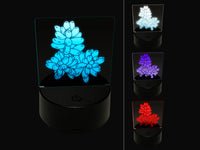 Sedum Rubrotinctum Jelly Bean Succulent Plant 3D Illusion LED Night Light Sign Nightstand Desk Lamp