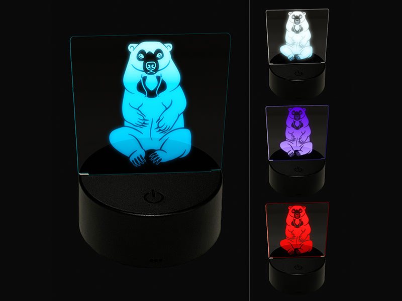 Sitting Malayan Sun Bear 3D Illusion LED Night Light Sign Nightstand Desk Lamp