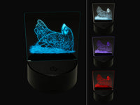 Hen Laying on Eggs in a Nest Chicken 3D Illusion LED Night Light Sign Nightstand Desk Lamp