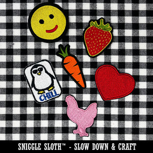 Today is a Slow Day Sloth Multi-Color Embroidered Iron-On or Hook & Loop Patch Applique