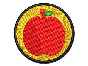 Apple Fruit Multi-Color Embroidered Iron-On or Hook & Loop Patch Applique