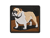 Gentle English Bulldog Pet Dog Multi-Color Embroidered Iron-On or Hook & Loop Patch Applique