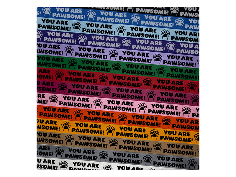 You Are Pawsome Awesome Teacher School Motivation Satin Ribbon Bows Gift Wrapping DIY Craft Projects - 1" - 3 Yards