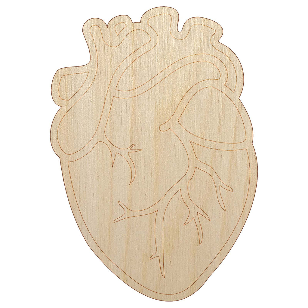 Realistic Human Heart Unfinished Wood Shape Piece Cutout for DIY Craft Projects