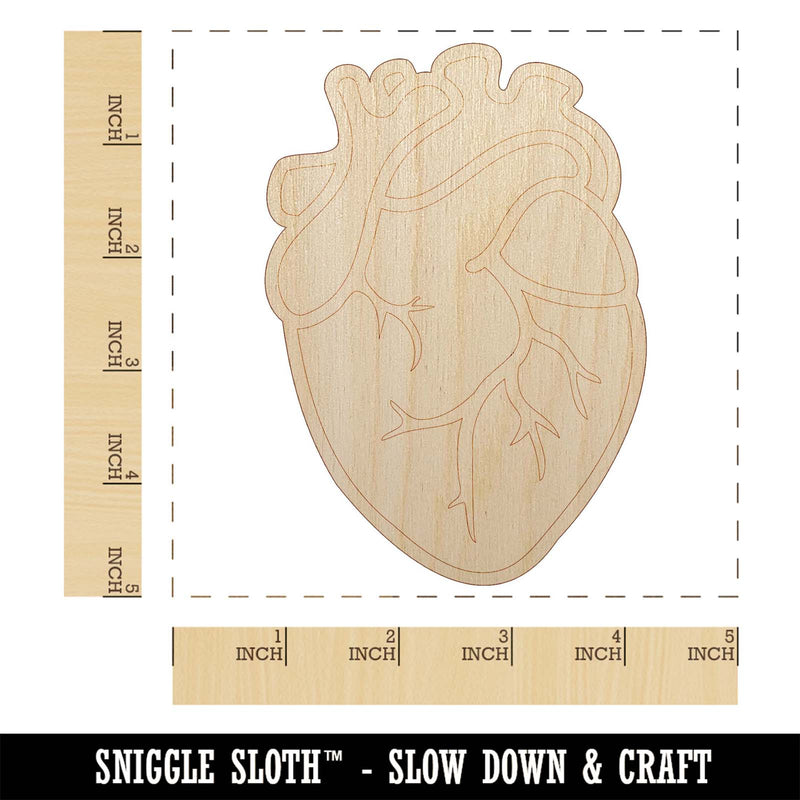Realistic Human Heart Unfinished Wood Shape Piece Cutout for DIY Craft Projects