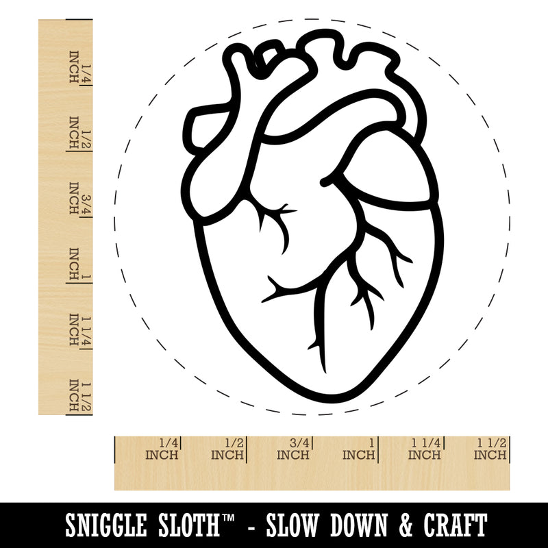 Realistic Human Heart Self-Inking Rubber Stamp for Stamping Crafting Planners