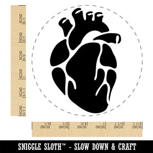 Realistic Heart Four Chambers Anatomy Biology Love Science Self-Inking Rubber Stamp Ink Stamper for Stamping Crafting Planners