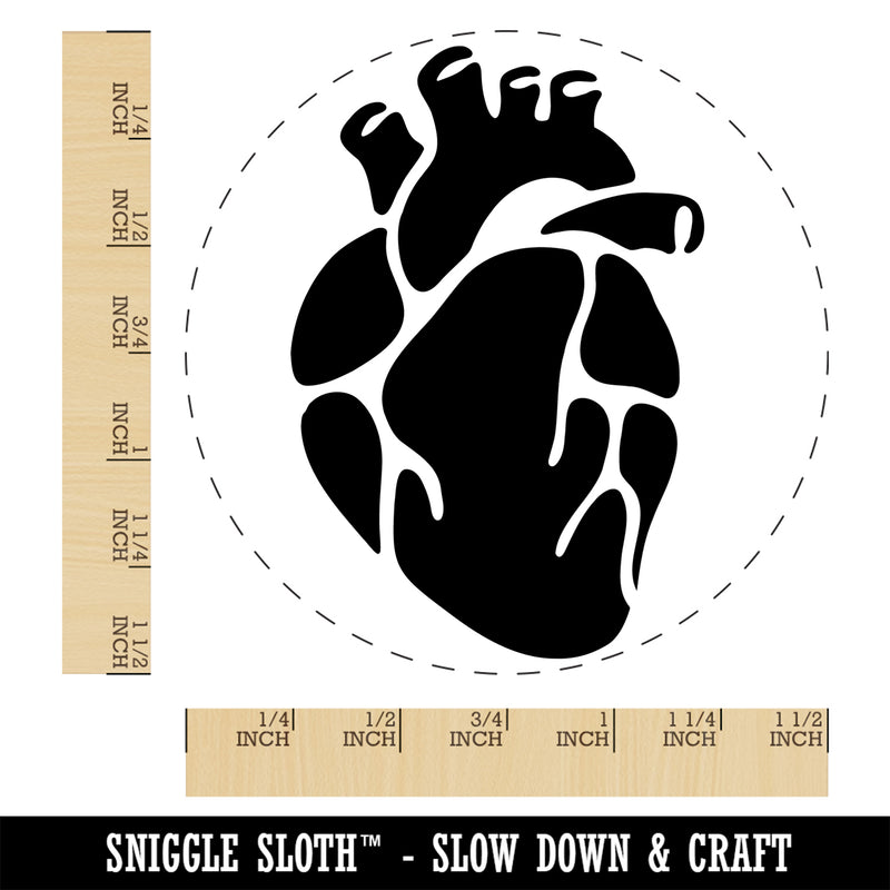 Realistic Heart Four Chambers Anatomy Biology Love Science Self-Inking Rubber Stamp Ink Stamper for Stamping Crafting Planners