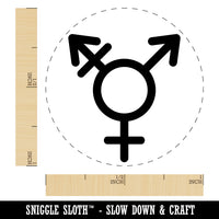 Male with Stroke and Female Sign Transgender Gender Symbol Self-Inking Rubber Stamp for Stamping Crafting Planners