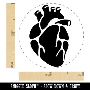 Realistic Heart Four Chambers Anatomy Biology Love Science Self-Inking Rubber Stamp Ink Stamper for Stamping Crafting Planners