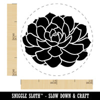 Echeveria Elegans Succulent Plant Mexican Snow Ball Self-Inking Rubber Stamp for Stamping Crafting Planners