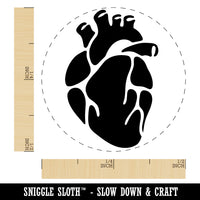 Realistic Heart Four Chambers Anatomy Biology Love Science Self-Inking Rubber Stamp Ink Stamper for Stamping Crafting Planners