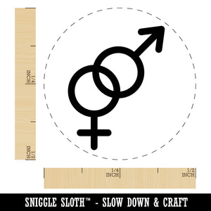 Interlocked Male and Female Sign Heterosexuality Gender Symbol Self-Inking Rubber Stamp for Stamping Crafting Planners