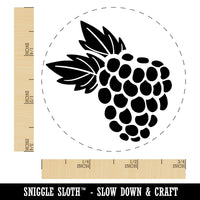 Raspberry Blackberry Fruit Self-Inking Rubber Stamp for Stamping Crafting Planners