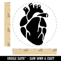 Realistic Heart Four Chambers Anatomy Biology Love Science Self-Inking Rubber Stamp Ink Stamper for Stamping Crafting Planners