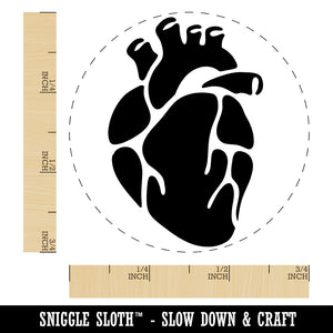 Realistic Heart Four Chambers Anatomy Biology Love Science Self-Inking Rubber Stamp Ink Stamper for Stamping Crafting Planners