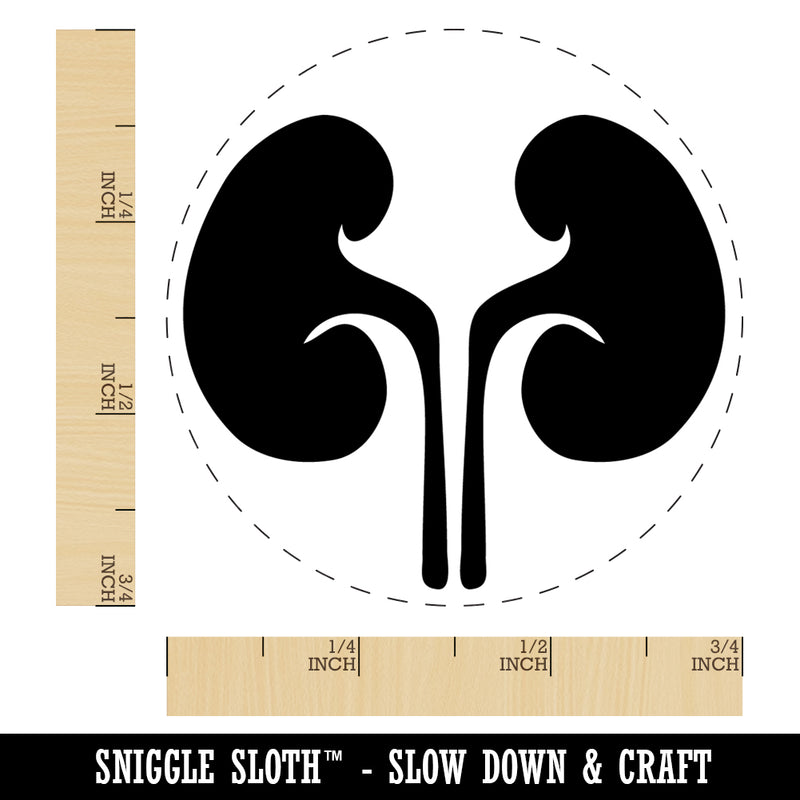 Kidneys Organs Anatomy Body Part Self-Inking Rubber Stamp Ink Stamper for Stamping Crafting Planners