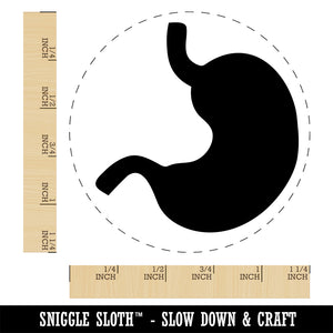 Stomach Anatomy Organ Body Part Rubber Stamp for Stamping Crafting Planners