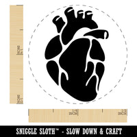 Realistic Heart Four Chambers Anatomy Biology Love Science Rubber Stamp for Stamping Crafting Planners