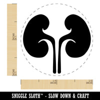 Kidneys Organs Anatomy Body Part Rubber Stamp for Stamping Crafting Planners