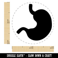 Stomach Anatomy Organ Body Part Rubber Stamp for Stamping Crafting Planners