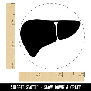 Liver Organs Anatomy Body Part Rubber Stamp for Stamping Crafting Planners