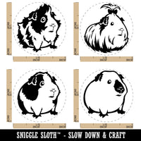 Guinea Pigs Himalayan Spotted Silkie Abyssinian Rubber Stamp Set for Stamping Crafting Planners