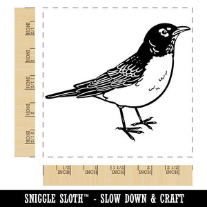 Delightful American Robin Bird Square Rubber Stamp for Stamping Crafting