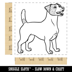 Energetic Jack Russell Terrier Pet Dog Square Rubber Stamp for Stamping Crafting