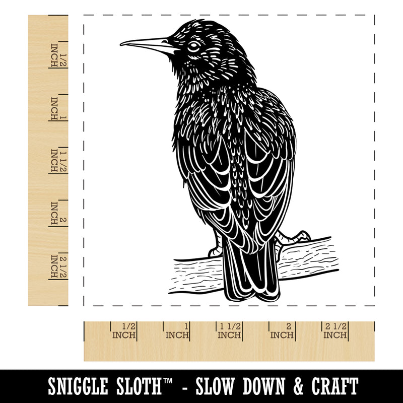 European Starling Bird on Branch Square Rubber Stamp for Stamping Crafting