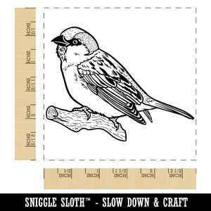 House Sparrow Bird on Branch Square Rubber Stamp for Stamping Crafting