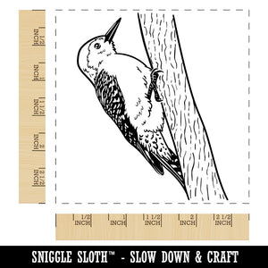 Red-Bellied Woodpecker Bird on Tree Square Rubber Stamp for Stamping Crafting