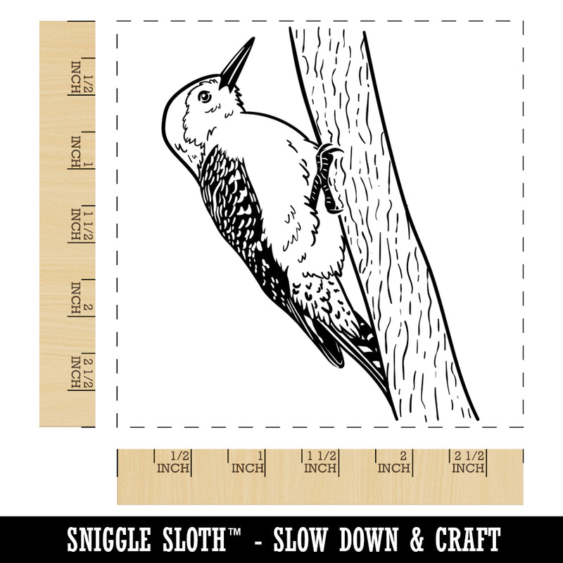 Red-Bellied Woodpecker Bird on Tree Square Rubber Stamp for Stamping Crafting