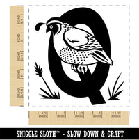 Animal Alphabet Letter Q for Quail Square Rubber Stamp for Stamping Crafting