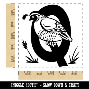 Animal Alphabet Letter Q for Quail Square Rubber Stamp for Stamping Crafting