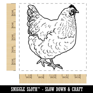 Plump Strutting Hen Chicken Square Rubber Stamp for Stamping Crafting