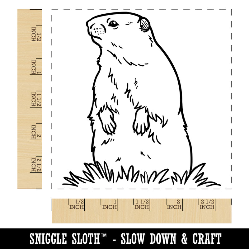 Groundhog Woodchuck Standing Up Square Rubber Stamp for Stamping Crafting