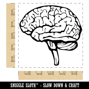 Human Brain with Cerebellum and Medulla Oblongata Square Rubber Stamp for Stamping Crafting