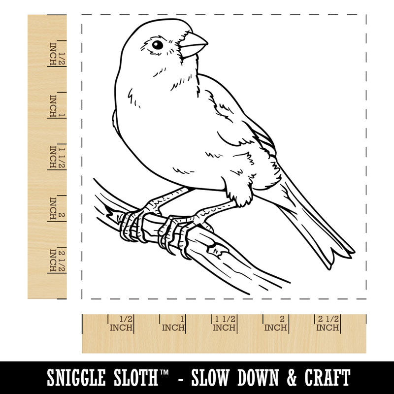 Canary Songbird Bird Square Rubber Stamp for Stamping Crafting