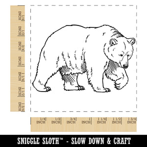 Curious Grizzly Bear Square Rubber Stamp for Stamping Crafting