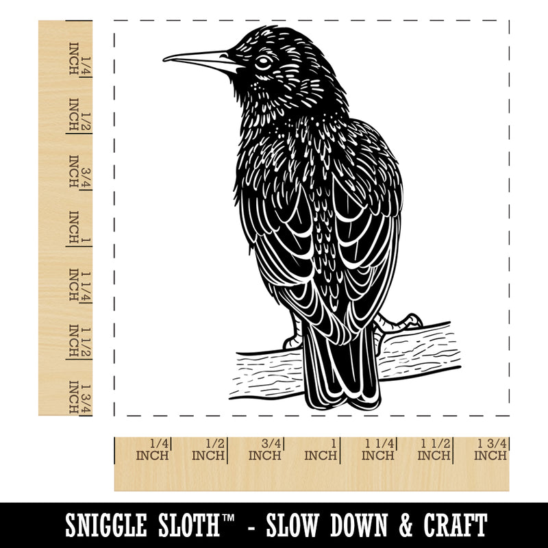 European Starling Bird on Branch Square Rubber Stamp for Stamping Crafting