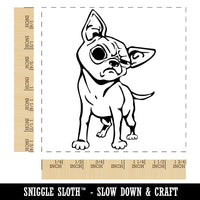 Suspicious Chihuahua Dog Square Rubber Stamp for Stamping Crafting