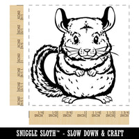 Huggable and Fluffy Chinchilla Square Rubber Stamp for Stamping Crafting