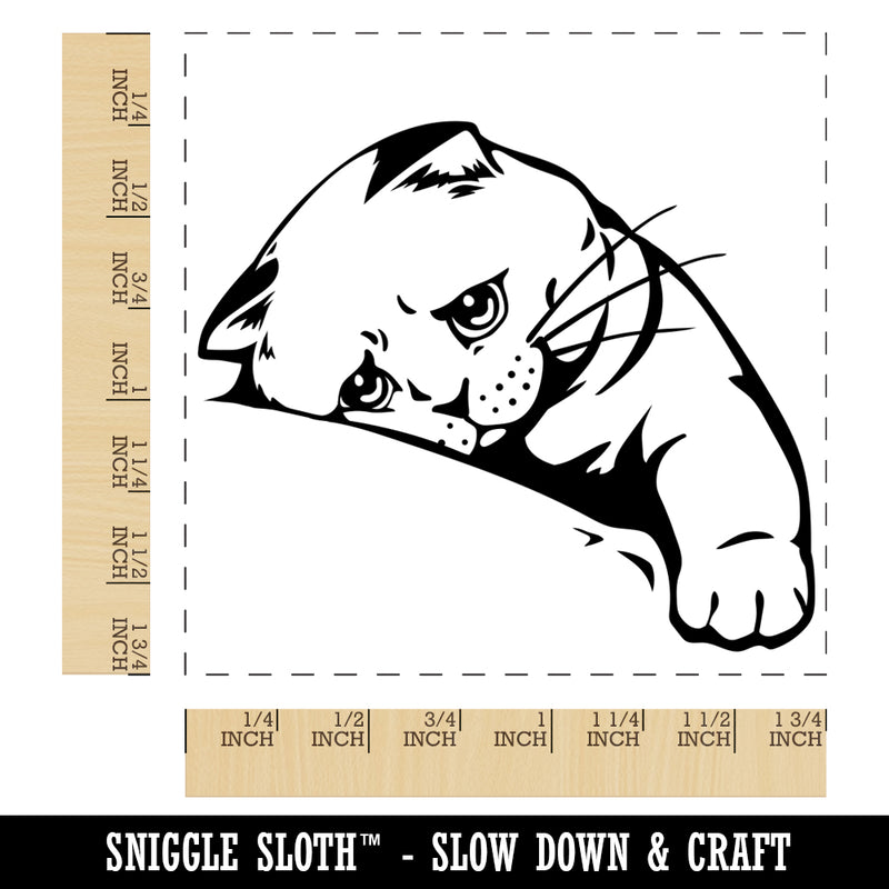 Sad Cat Kitten Looking Longingly Square Rubber Stamp for Stamping Crafting