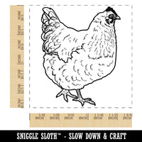 Plump Strutting Hen Chicken Square Rubber Stamp for Stamping Crafting